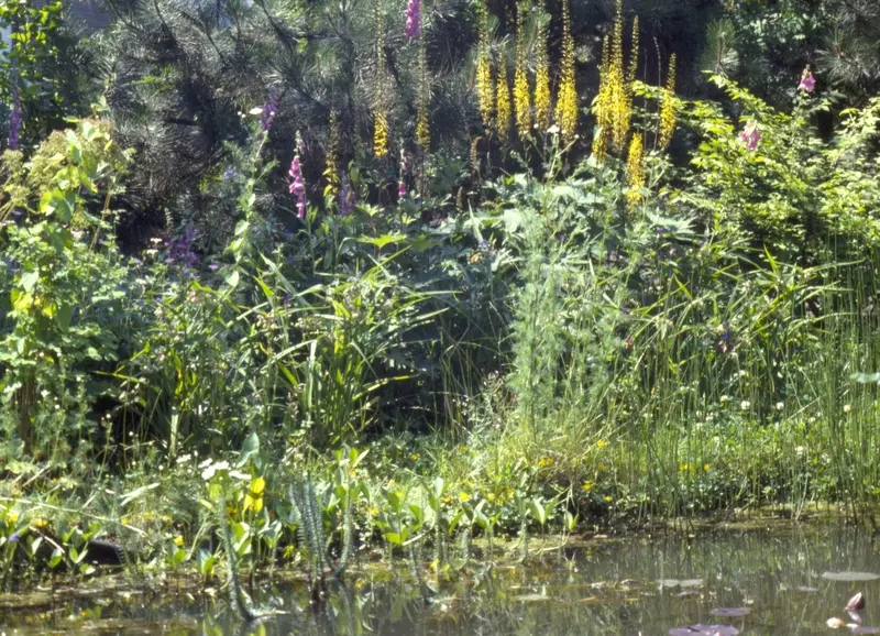Garten auf drei Ebenen in Bensberg – Projektfoto