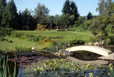 Garten im vorderem Taunus – Projektfoto